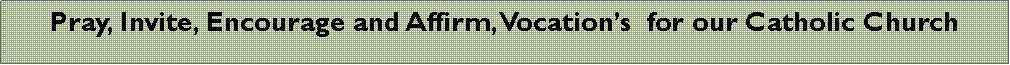 Text Box: Pray, Invite, Encourage and Affirm, Vocations  for our Catholic Church  