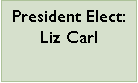 Text Box: President Elect: Liz Carl
