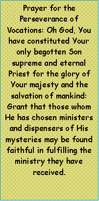 Text Box: Prayer for the Perseverance of Vocations: Oh God, You have constituted Your only begotten Son supreme and eternal Priest for the glory of Your majesty and the salvation of mankind:    Grant that those whom He has chosen ministers and dispensers of His mysteries may be found faithful in fulfilling the ministry they have received.          